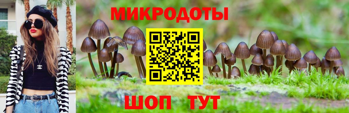 Киров  Псилоцибиновые грибы GOLDEN TEACHER  Вход с VPN  Галлюциногенные грибы Cubensis 